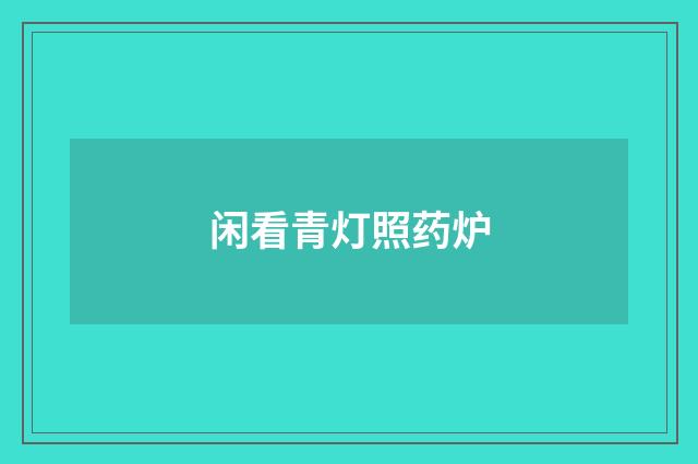 闲看青灯照药炉