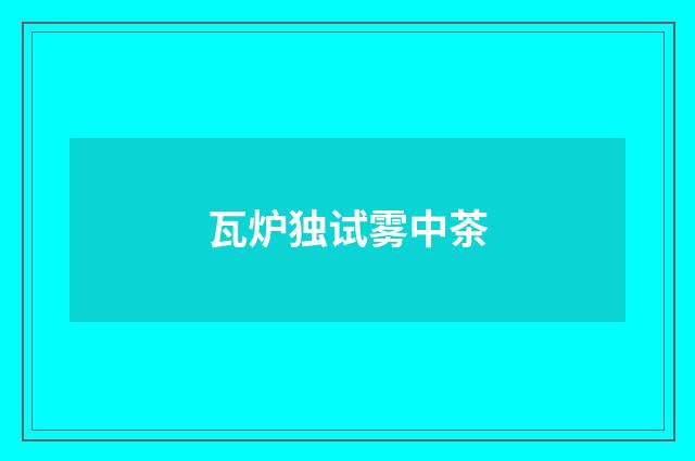 瓦炉独试雾中茶