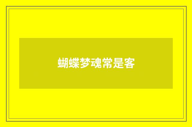蝴蝶梦魂常是客