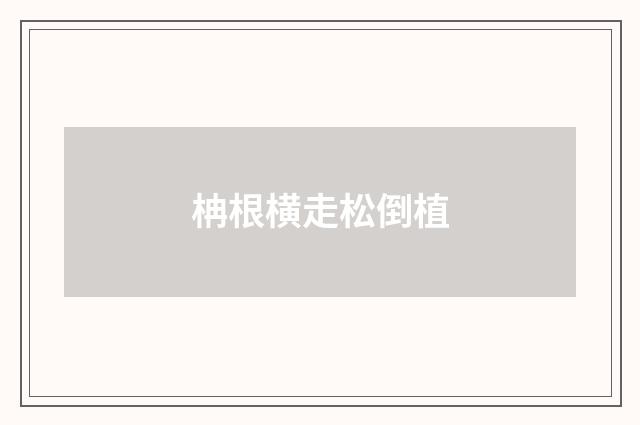 柟根横走松倒植