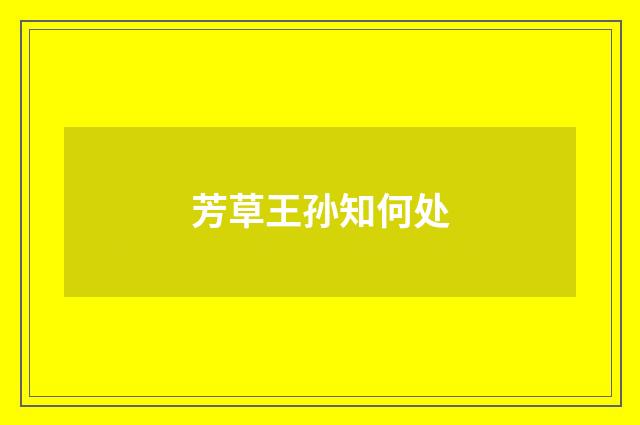 芳草王孙知何处