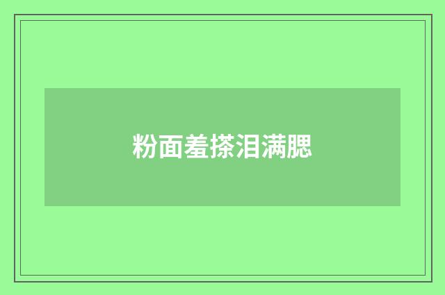 粉面羞搽泪满腮