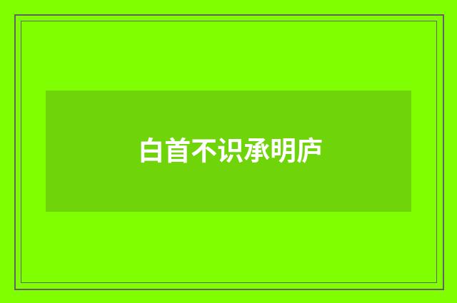 白首不识承明庐