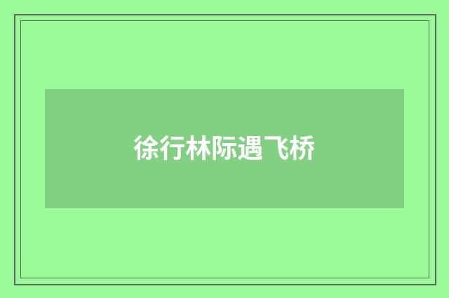 徐行林际遇飞桥