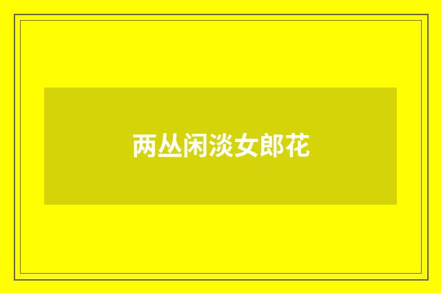 两丛闲淡女郎花