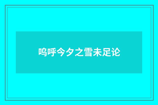 呜呼今夕之雪未足论