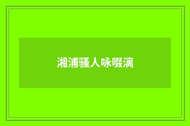 湘浦骚人咏啜漓