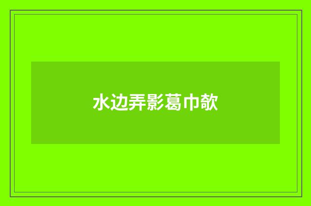 水边弄影葛巾欹