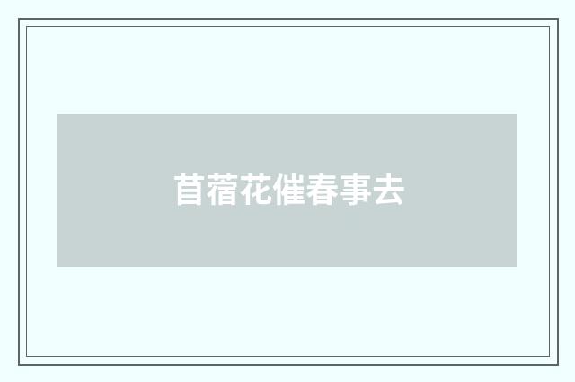 苜蓿花催春事去