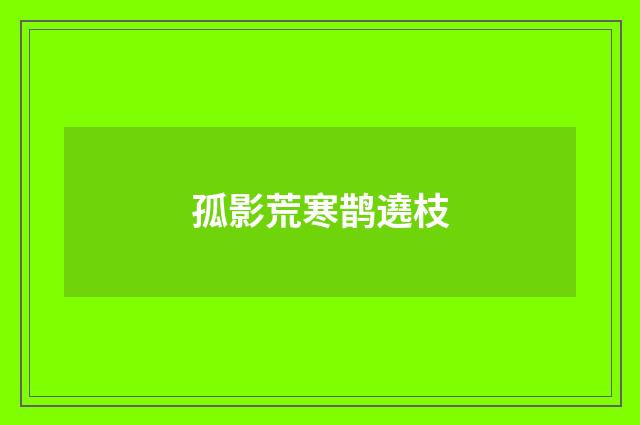 孤影荒寒鹊遶枝