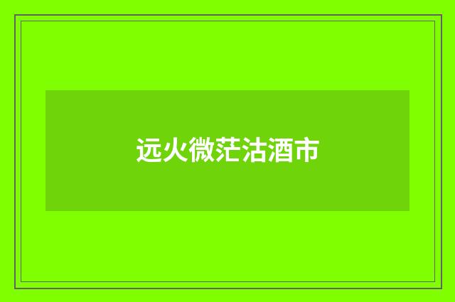 远火微茫沽酒市