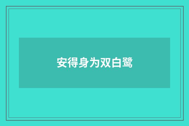 安得身为双白鹭