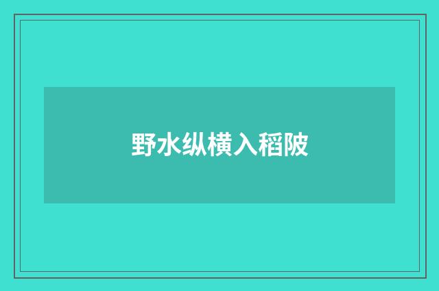 野水纵横入稻陂
