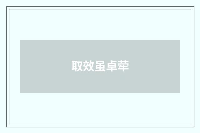 取效虽卓荦