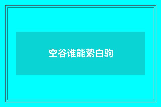 空谷谁能絷白驹