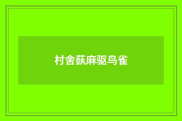 村舍蓺麻驱鸟雀