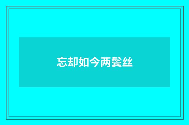 忘却如今两鬓丝
