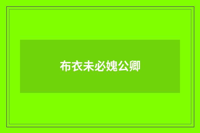 布衣未必媿公卿
