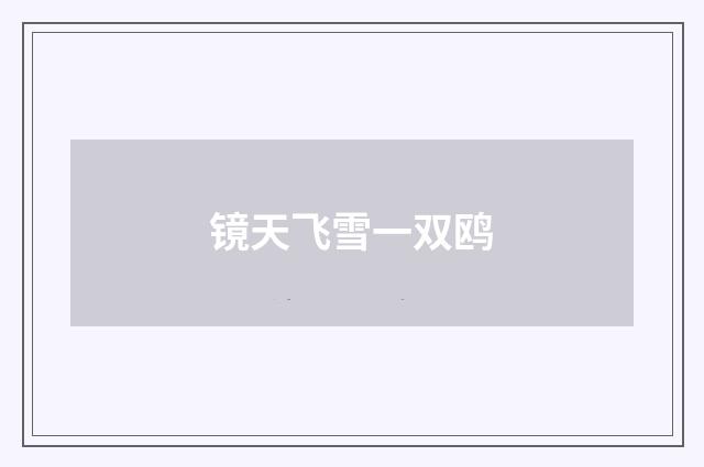 镜天飞雪一双鸥
