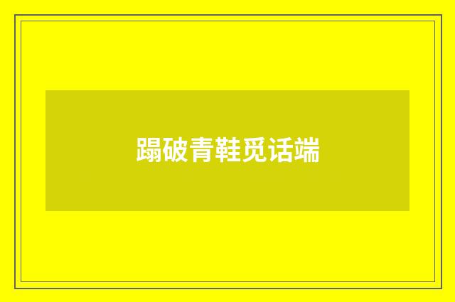 蹋破青鞋觅话端