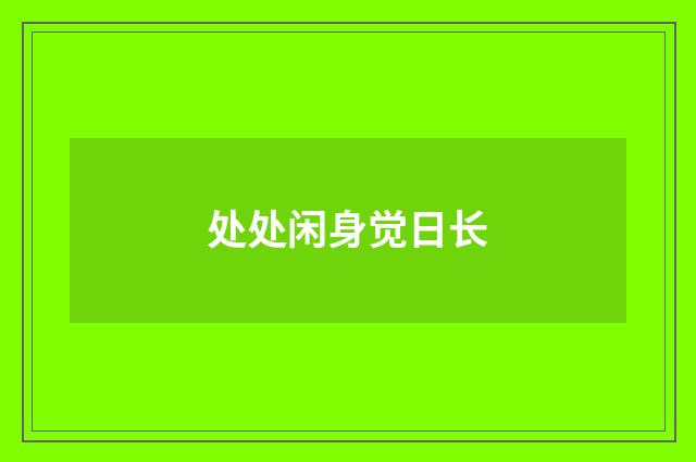 处处闲身觉日长