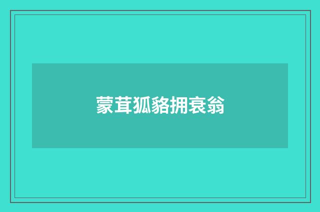 蒙茸狐貉拥衰翁