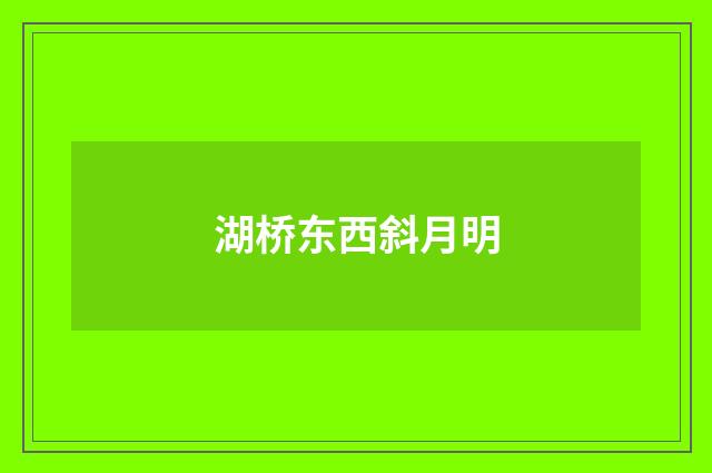 湖桥东西斜月明