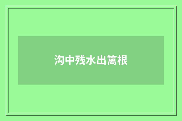 沟中残水出篱根