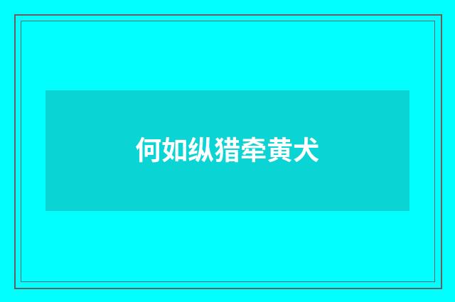 何如纵猎牵黄犬