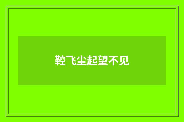 鞚飞尘起望不见