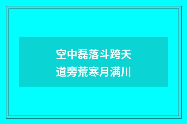 空中磊落斗跨天道旁荒寒月满川