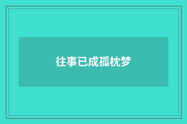 往事已成孤枕梦