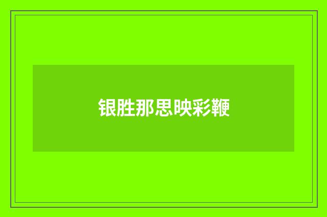 银胜那思映彩鞭