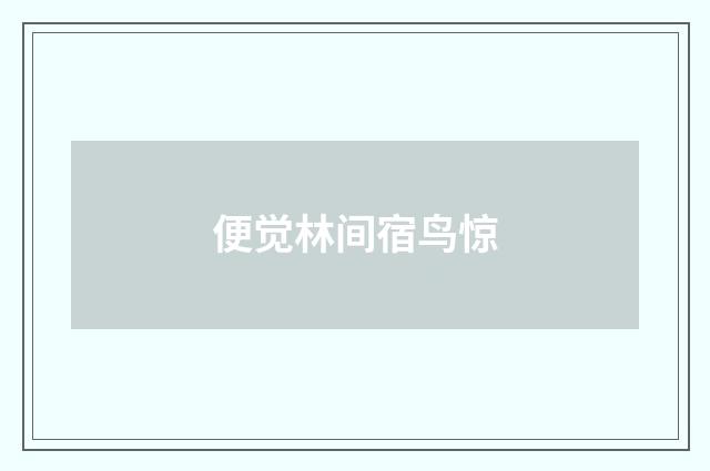 便觉林间宿鸟惊