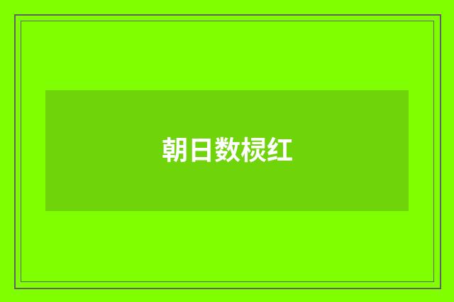 朝日数棂红