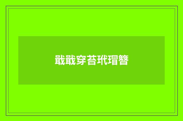 戢戢穿苔玳瑁簪