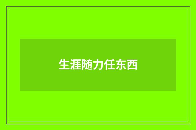 生涯随力任东西