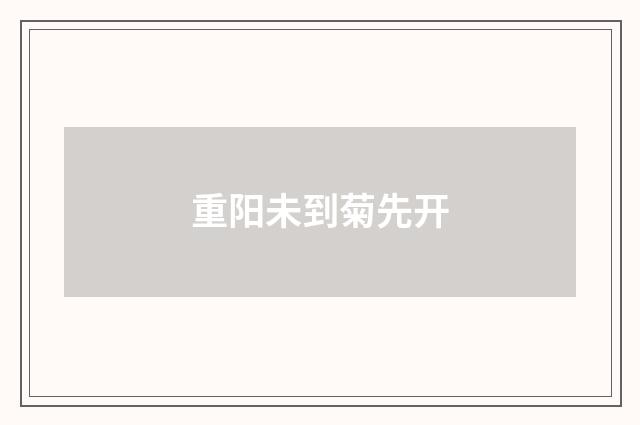 重阳未到菊先开