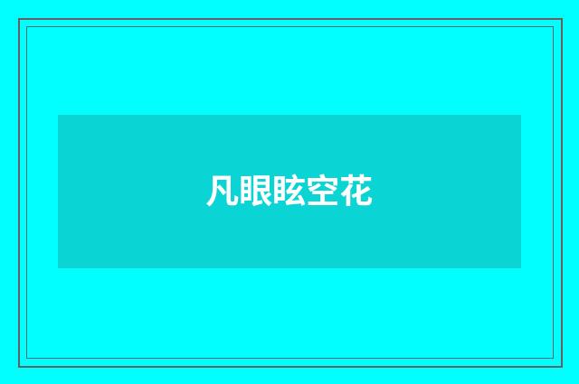 凡眼眩空花