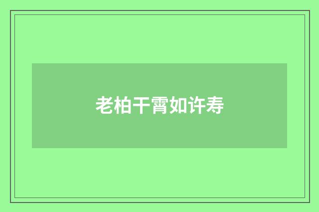老柏干霄如许寿