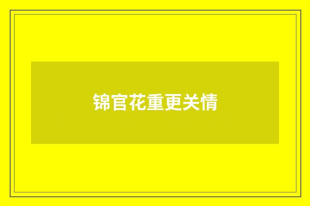 锦官花重更关情