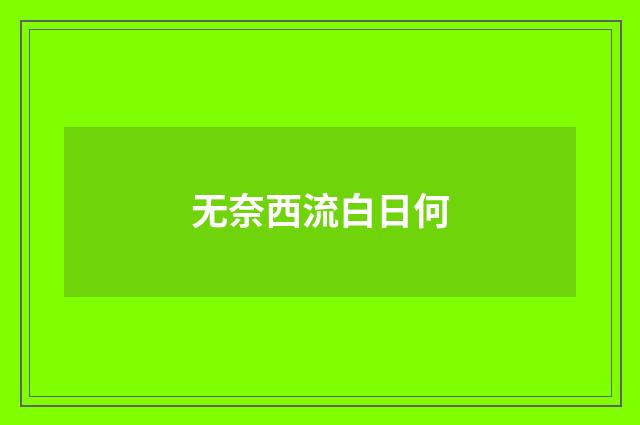 无奈西流白日何