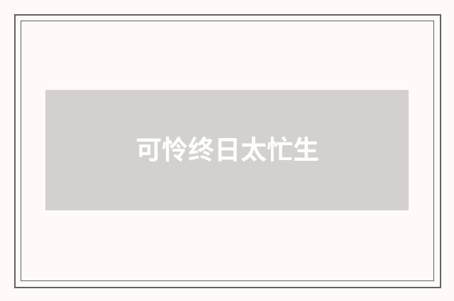 可怜终日太忙生