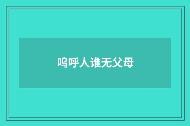 呜呼人谁无父母
