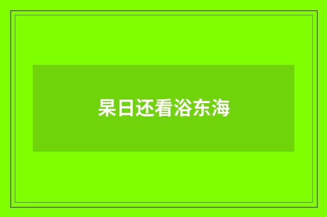 杲日还看浴东海