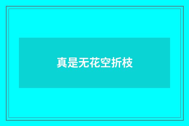 真是无花空折枝