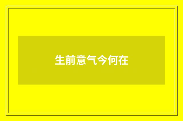 生前意气今何在