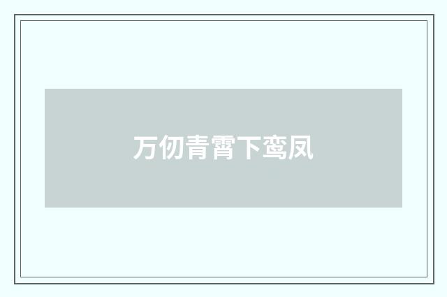 万仞青霄下鸾凤