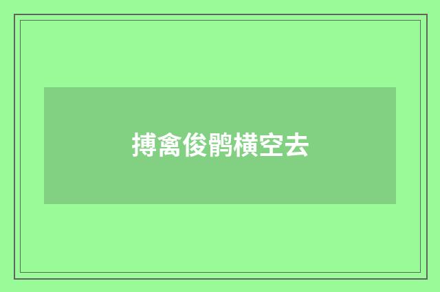 搏禽俊鹘横空去