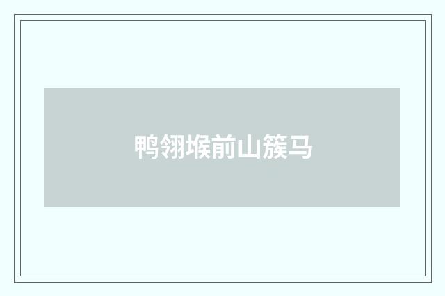 鸭翎堠前山簇马